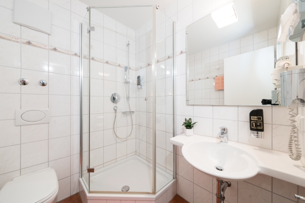 Hotel Vater Rhein (Wörth am Rhein)